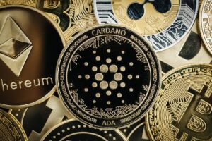 cardano airdrop